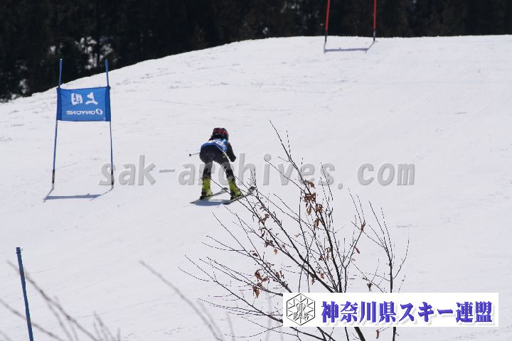 180304_102903_0.jpg