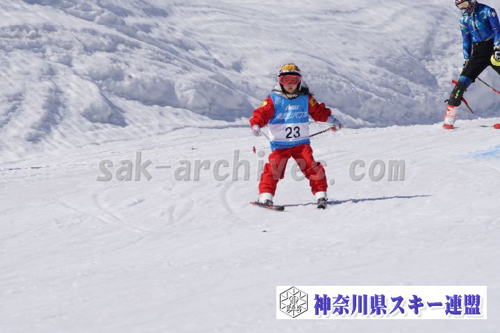 180304_133054_0.jpg