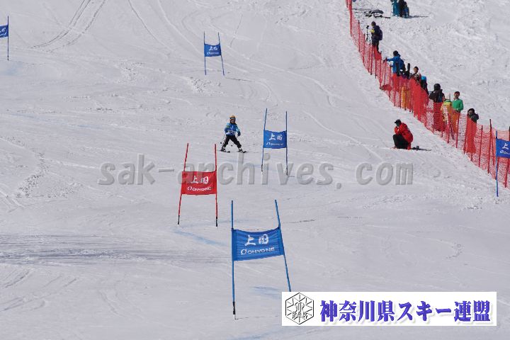 180304_134529_0.jpg