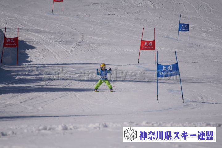 180304_141457_0.jpg
