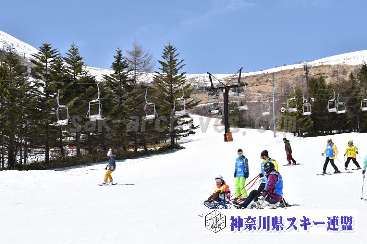180324_113204_0.jpg