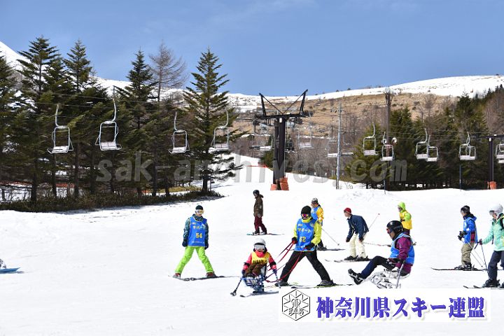180324_113206_0.jpg