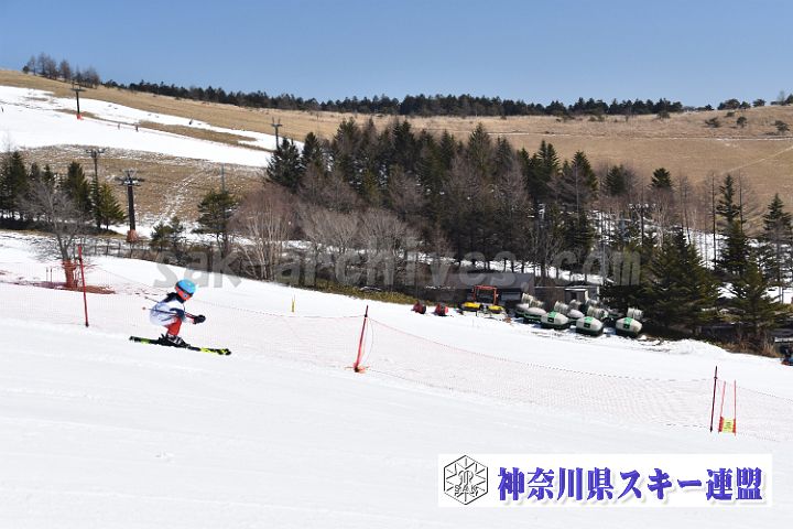 180325_095018_0.jpg
