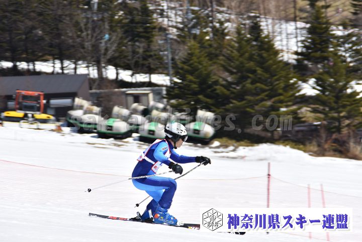 180325_104015_0.jpg