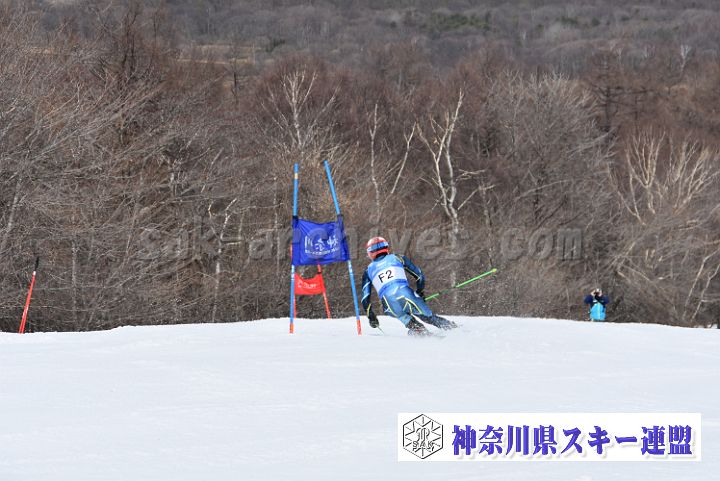 180401_120733_0.jpg