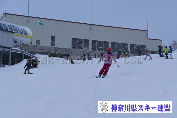 20181215_140800_2.jpg