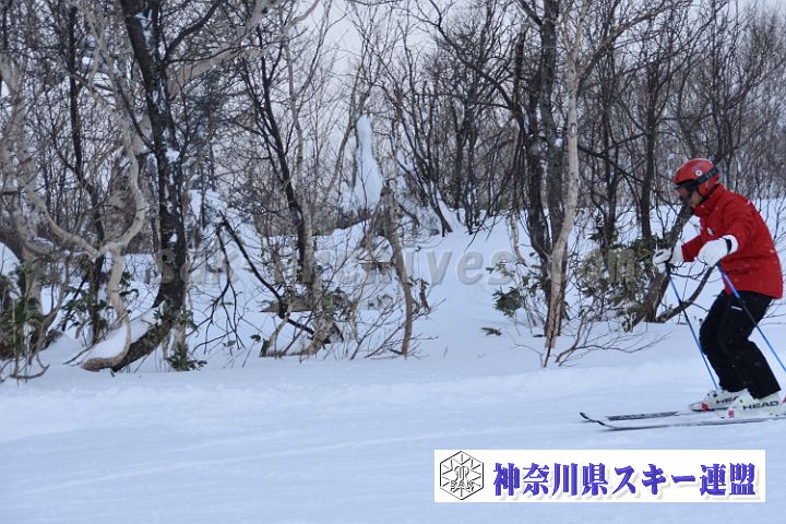 20181215_141659_4.jpg