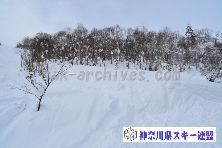 20181216_113041_0.jpg