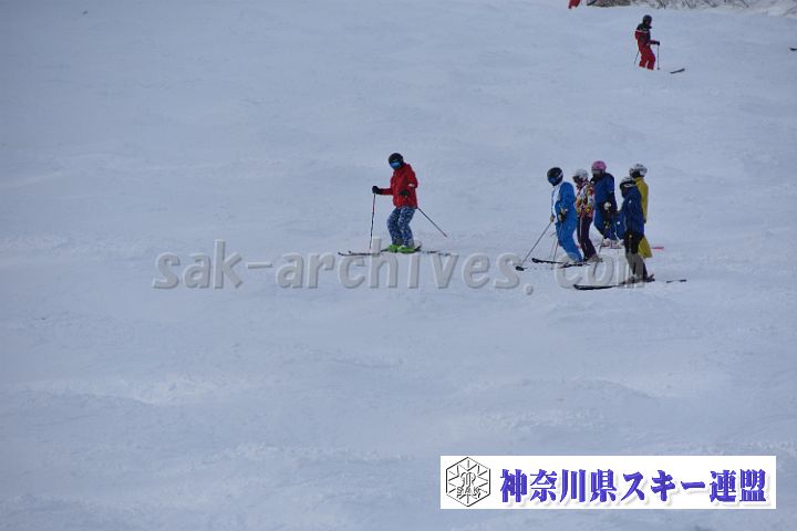 20181216_113935_1.jpg
