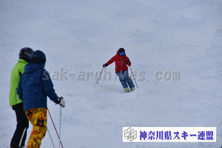 20181216_113947_0.jpg