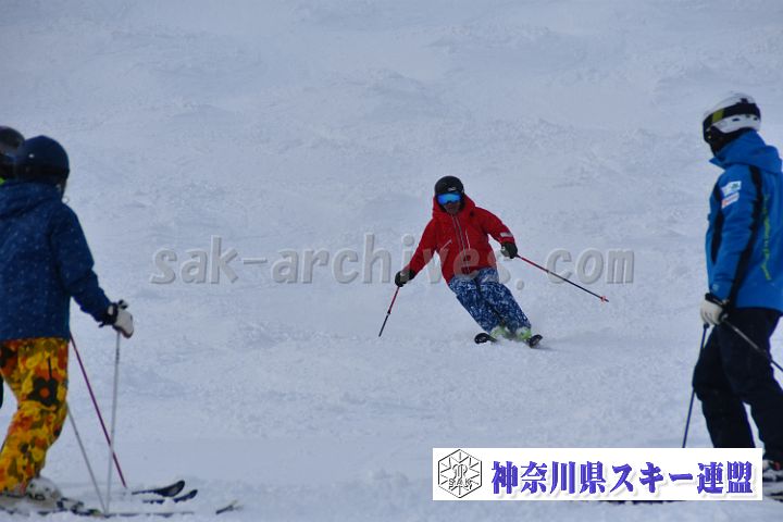 20181216_113948_1.jpg