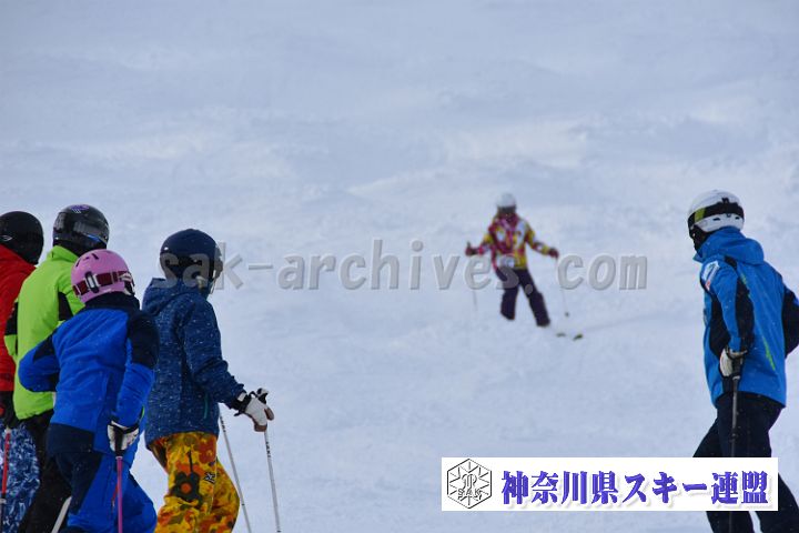 20181216_114037_1.jpg