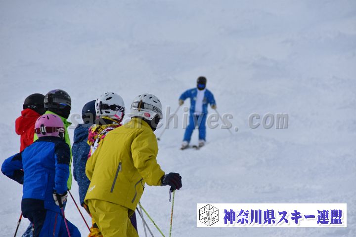 20181216_114130_0.jpg