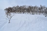 20181216_113042_0
