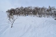 20181216_113043_1