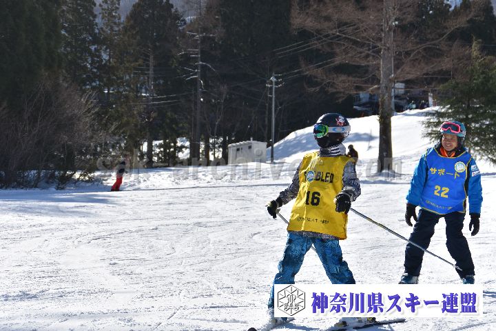 20190119_110704_3.jpg