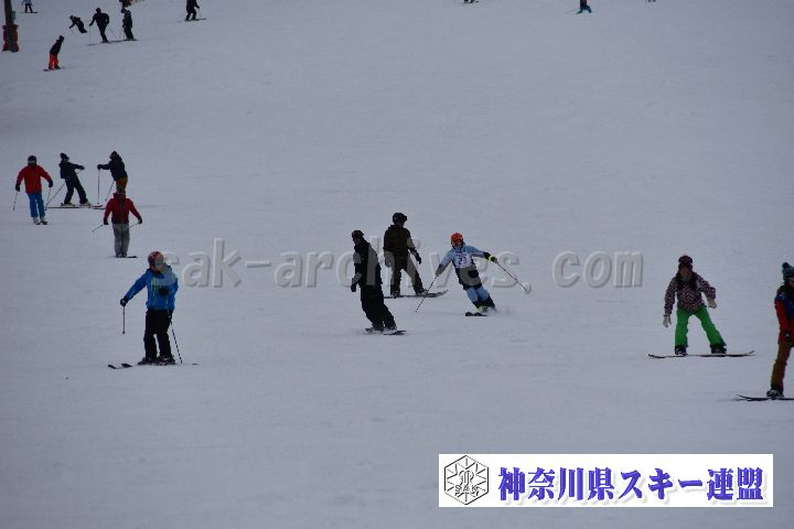 20190119_150525_0.jpg