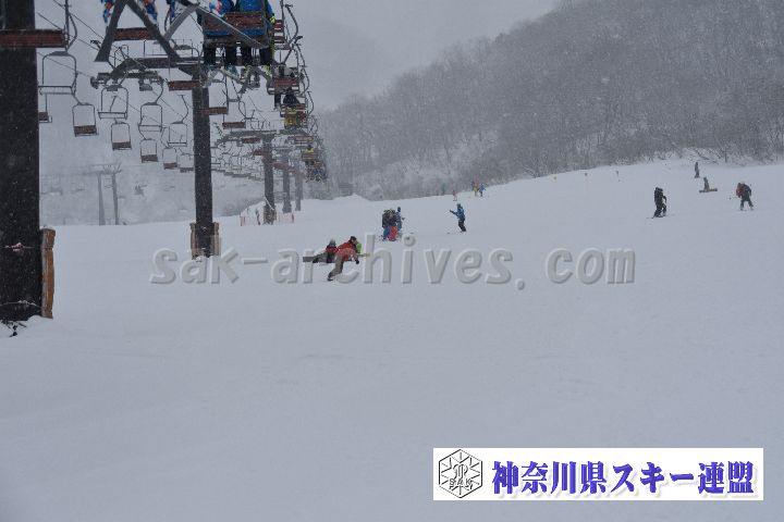 20190120_093539_0.jpg
