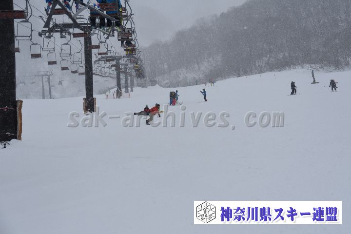 20190120_093540_0.jpg