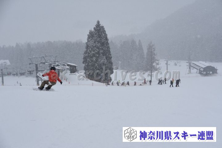 20190120_093546_4.jpg