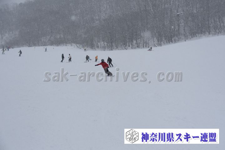 20190120_093635_0.jpg