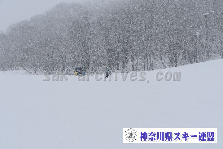 20190120_110141_0.jpg