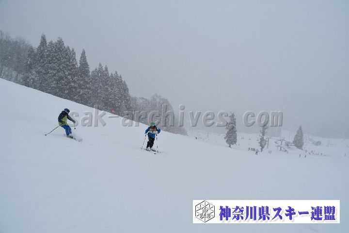 20190120_110210_3.jpg