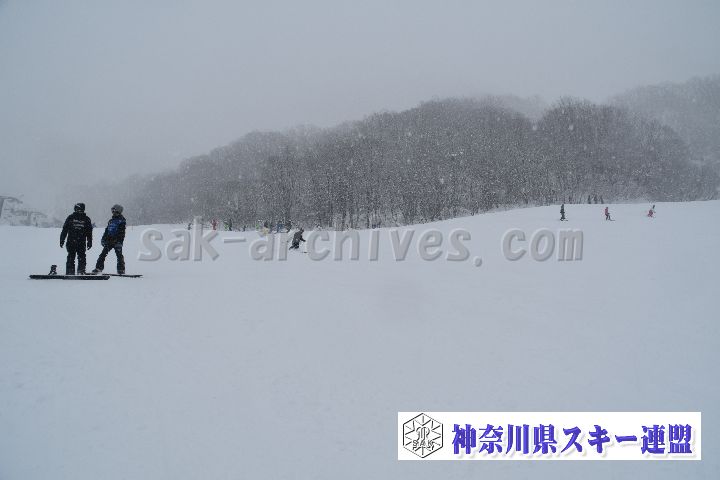 20190120_110336_2.jpg