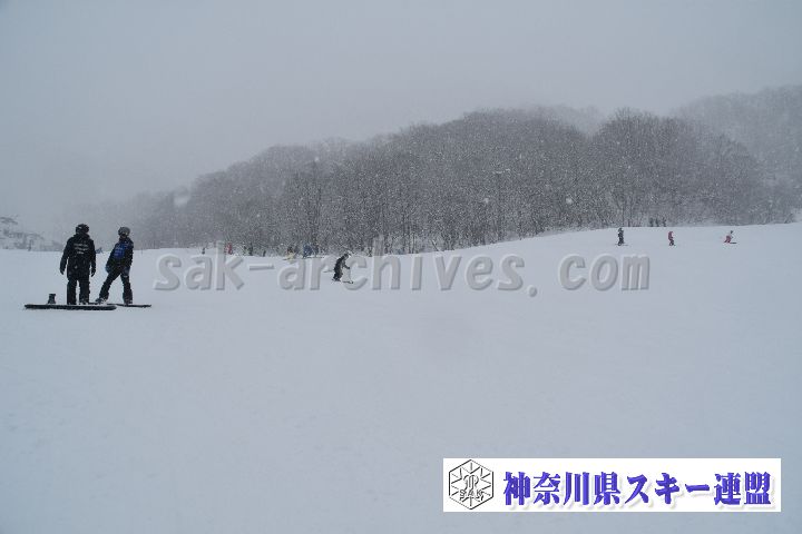 20190120_110336_3.jpg