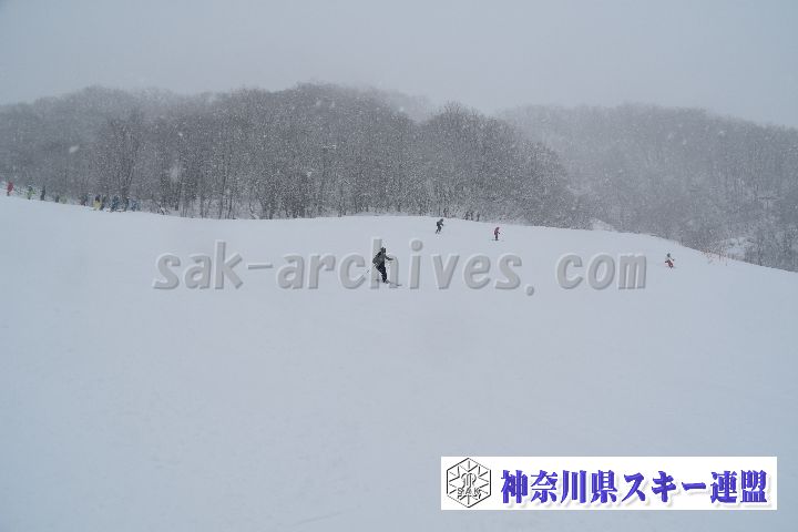 20190120_110338_3.jpg