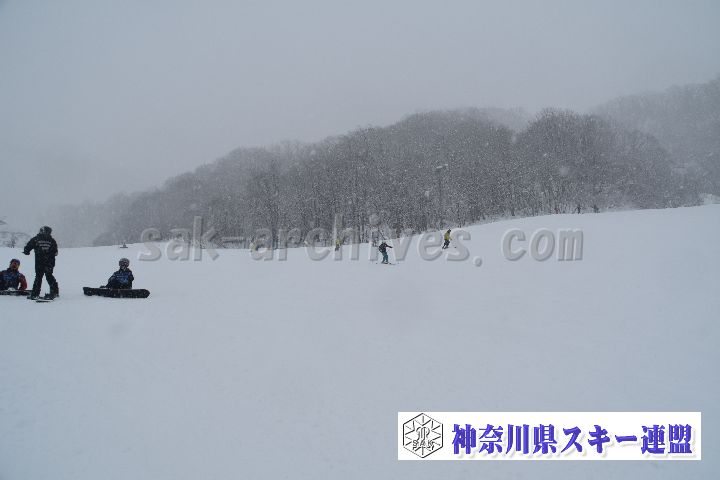 20190120_110405_4.jpg