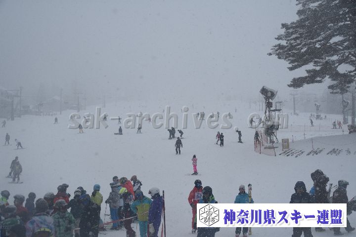 20190120_115817_1.jpg