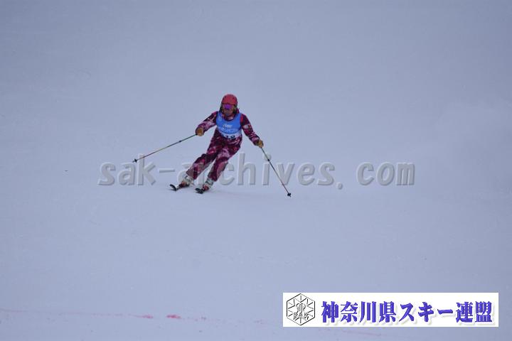 20190126_094118_0.jpg