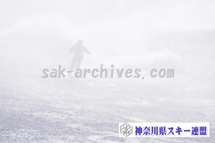 20190126_112633_1.jpg