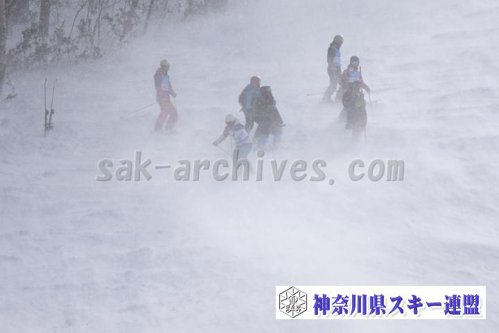 20190126_113336_0.jpg