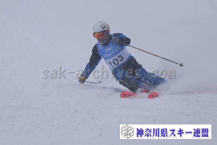 20190126_130518_1.jpg