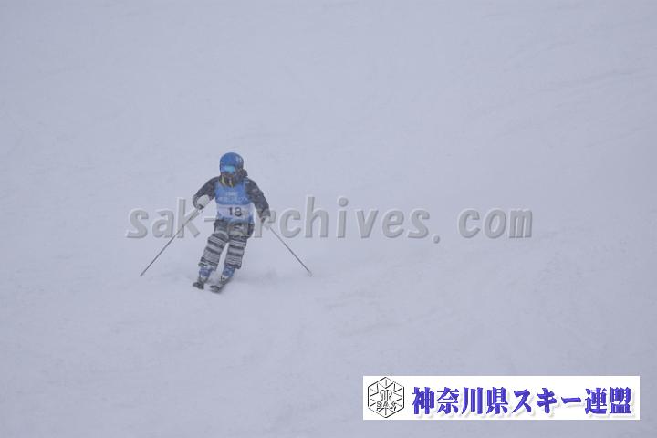 20190126_135303_5.jpg
