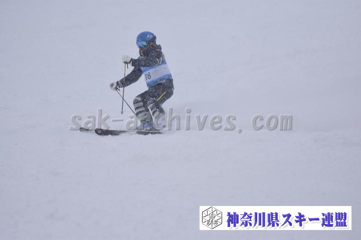 20190126_135305_2.jpg