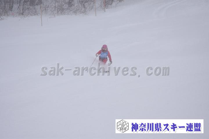 20190126_141008_4.jpg