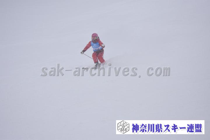 20190126_141011_1.jpg