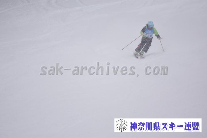 20190126_142539_1.jpg