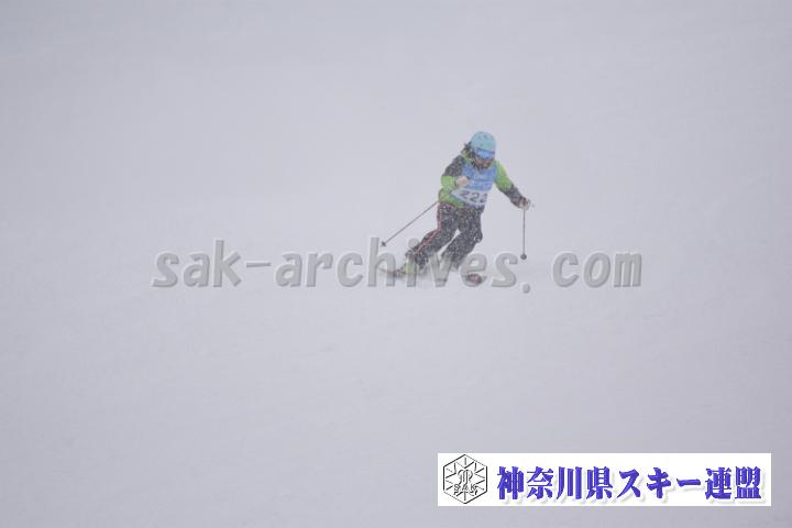 20190126_142540_3.jpg