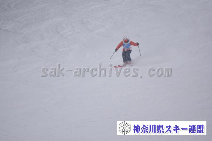 20190126_142804_1.jpg