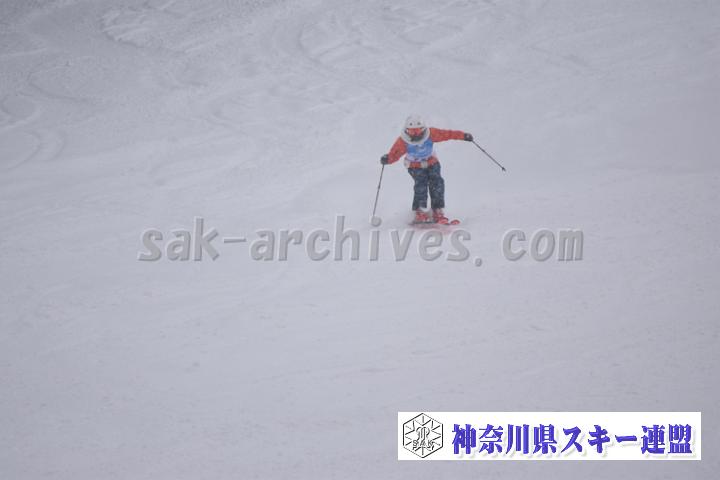 20190126_142804_5.jpg