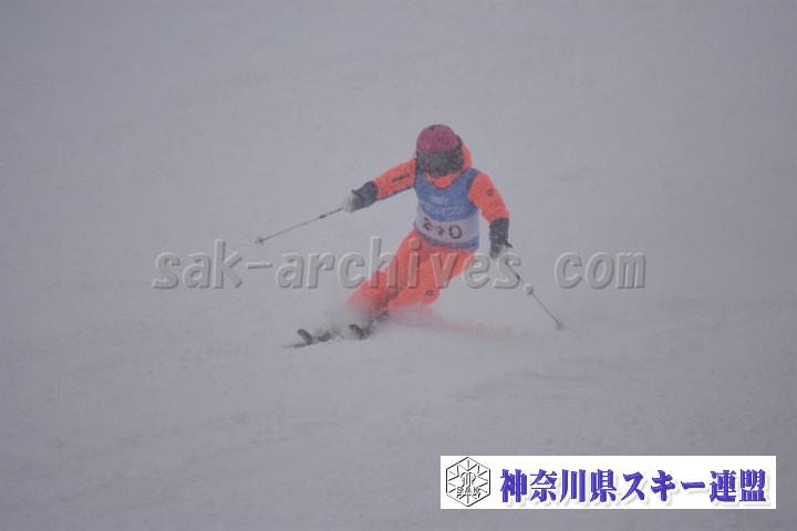 20190126_143528_0.jpg