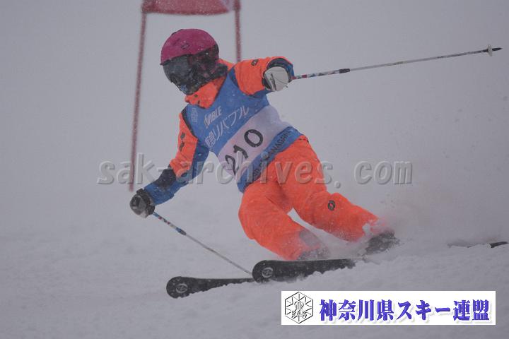 20190126_143530_4.jpg