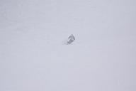20190126_135008_4