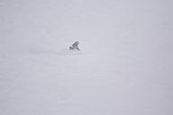 20190126_142608_1