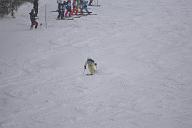 20190126_142834_2
