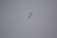 20190126_143555_1